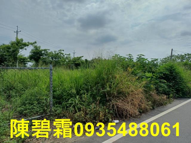 歸仁農地-8