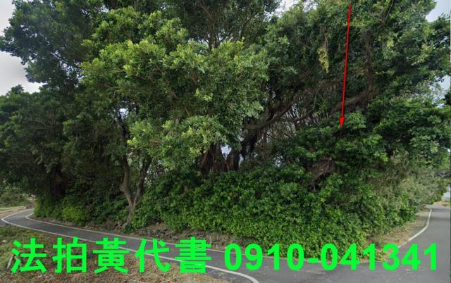東石法拍建地-5