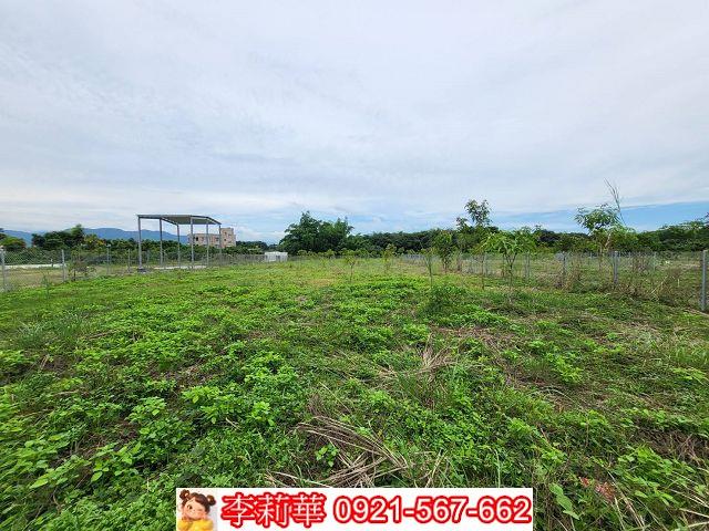 玉井農地-3