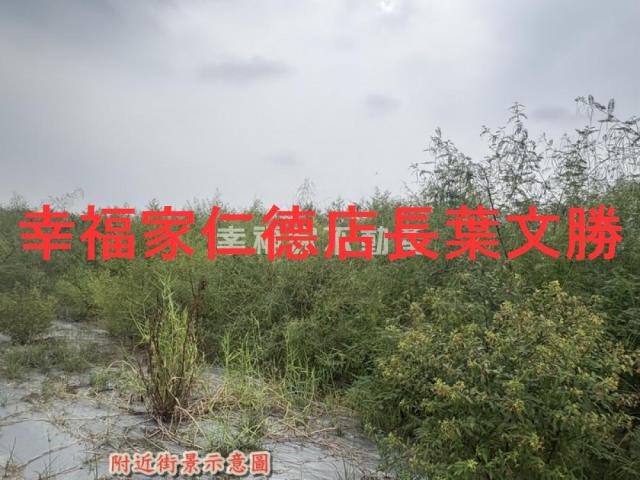 新化農地-14