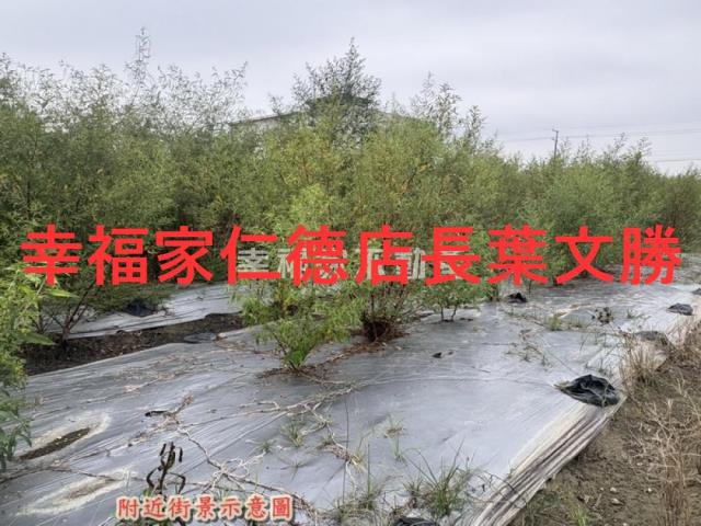 新化農地-3