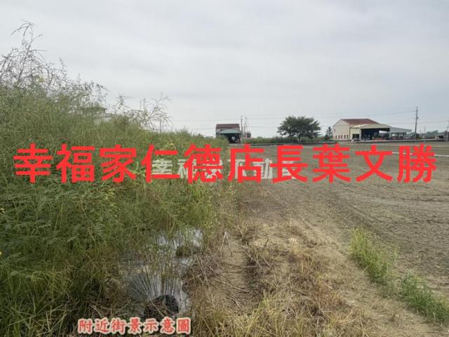 新化農地-8