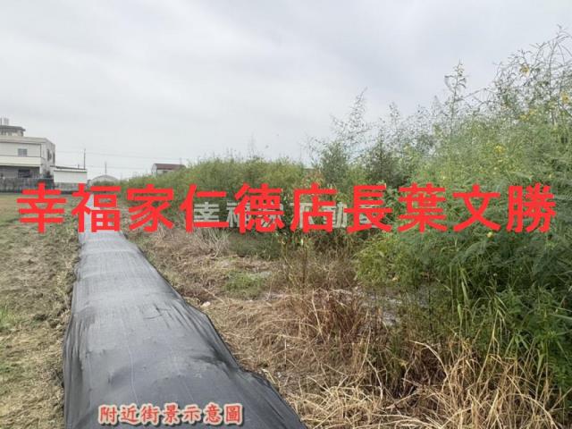新化農地-9
