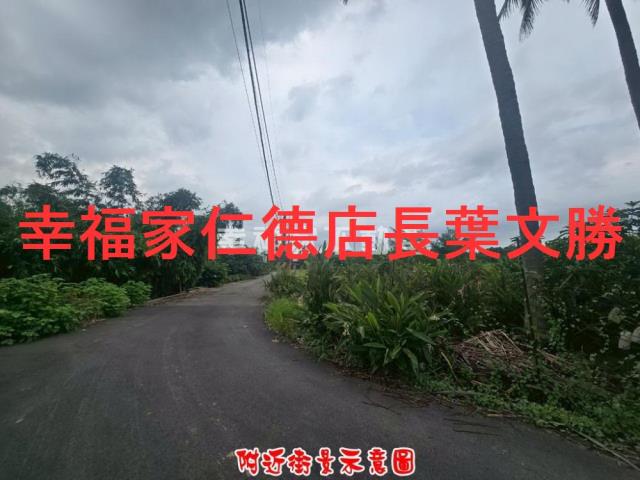歸仁農地-13
