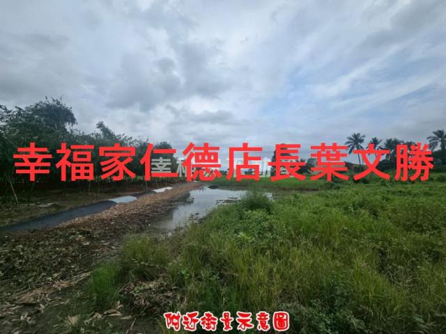 歸仁農地-14
