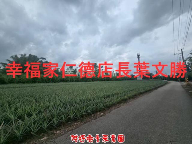 歸仁農地-3