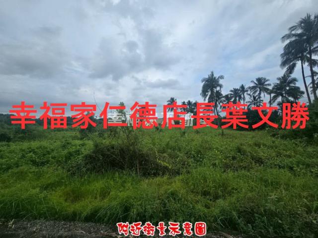 歸仁農地-4