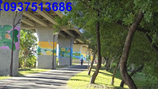 宜蘭農地-13