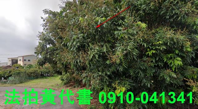 台南七股建地法拍-9