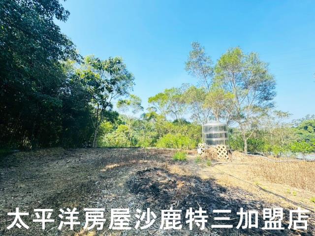 苗栗造橋農地_山坡地-4