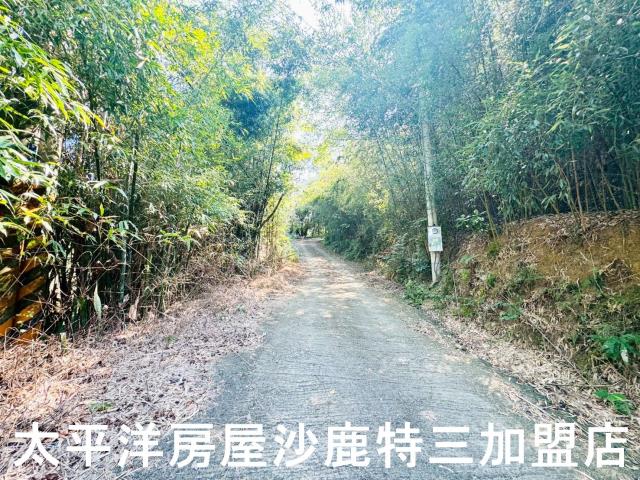 苗栗造橋農地_山坡地-5