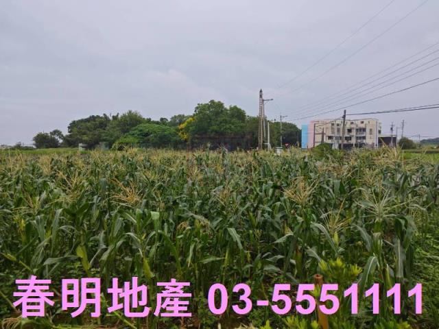 新竹新豐農地-7