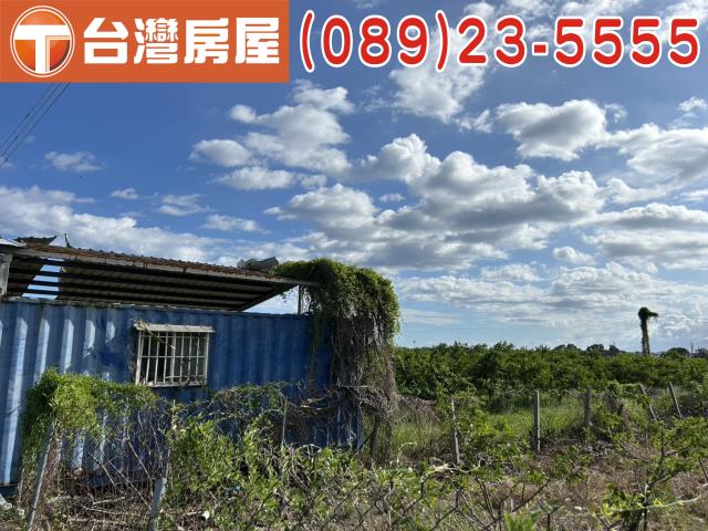 台東市農地-2