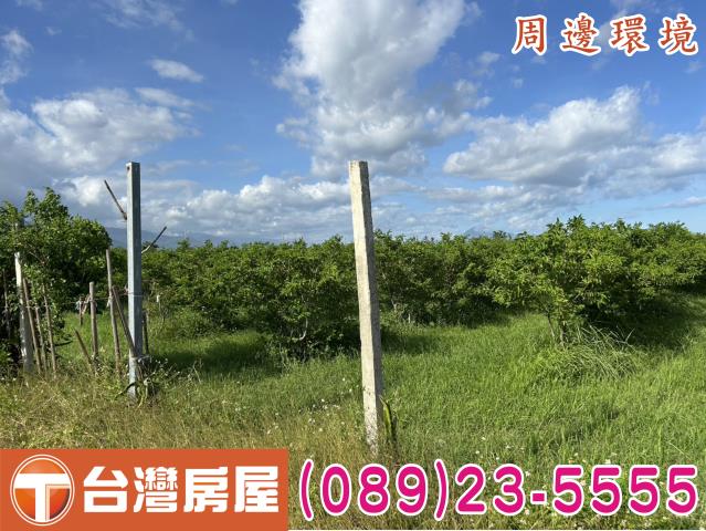 台東市農地-6