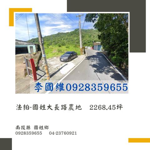 南投國姓拍賣農地-1
