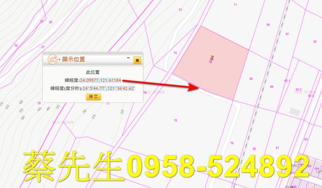 秀林拍賣農地-10