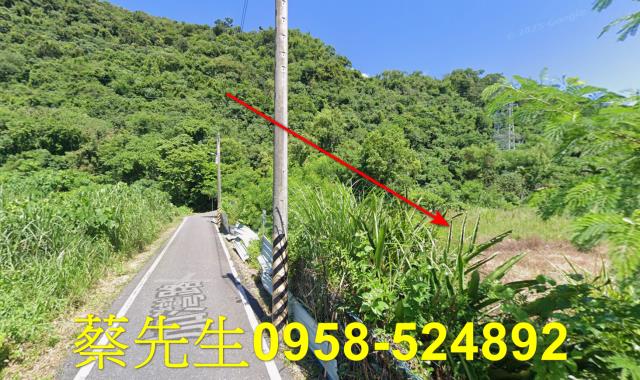 秀林拍賣農地-12