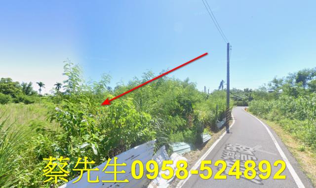 秀林拍賣農地-14