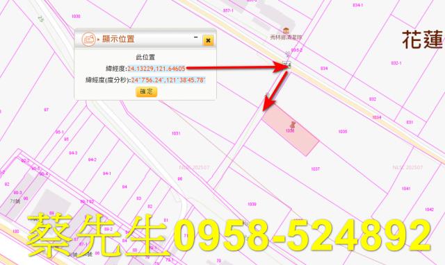 秀林法拍農地-2