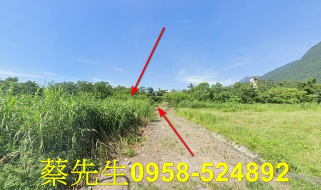 秀林法拍農地-6