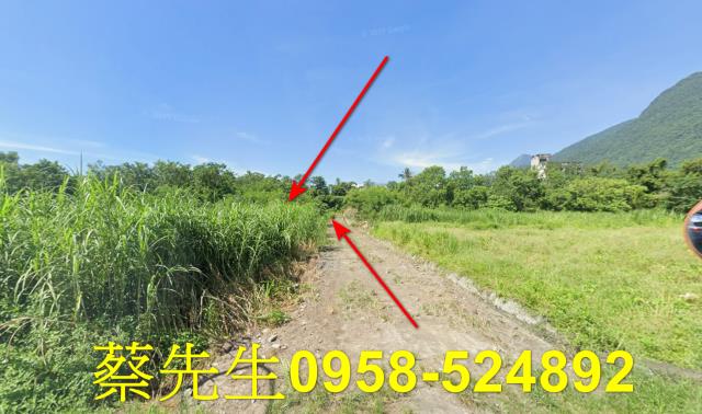 秀林法拍農地-9