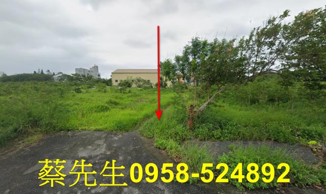 吉安建地法拍-9