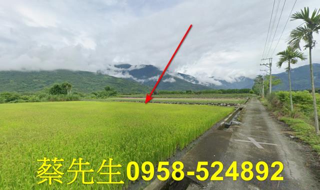 鳳林法拍農地-12