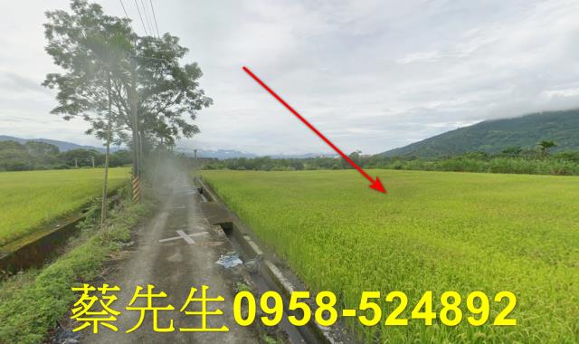 鳳林法拍農地-14