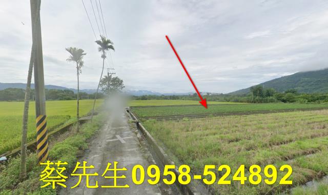 鳳林法拍農地-15