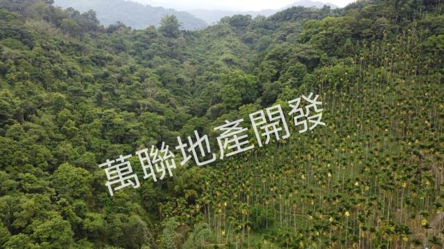 台中山坡地_林地-10
