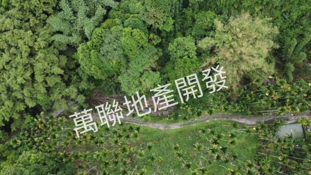 台中山坡地_林地-11