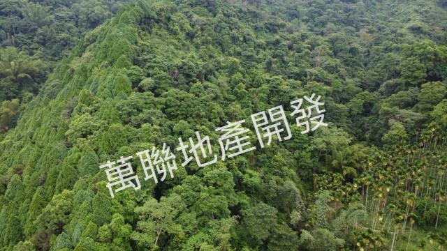 台中山坡地_林地-12