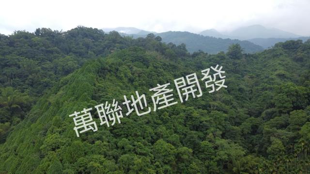 台中山坡地_林地-13