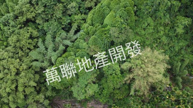 台中山坡地_林地-14