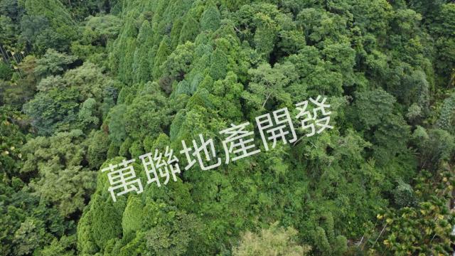 台中山坡地_林地-15
