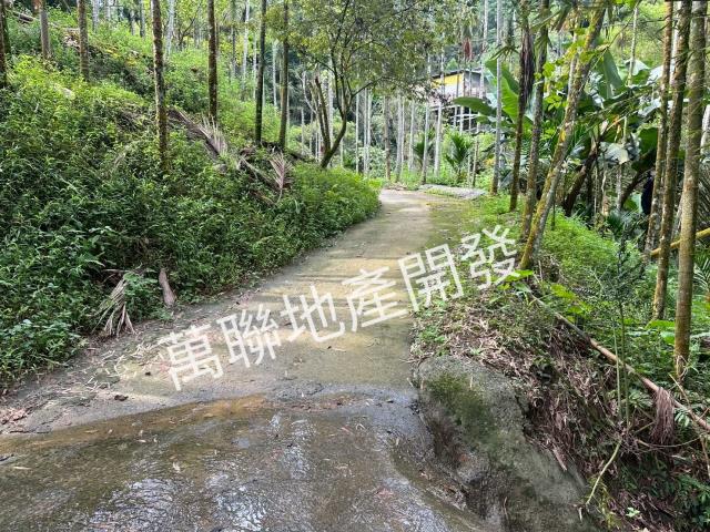 台中山坡地_林地-2
