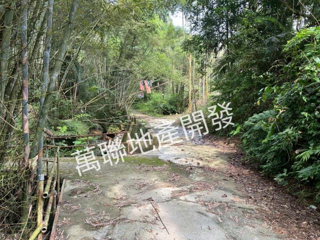 台中山坡地_林地-3