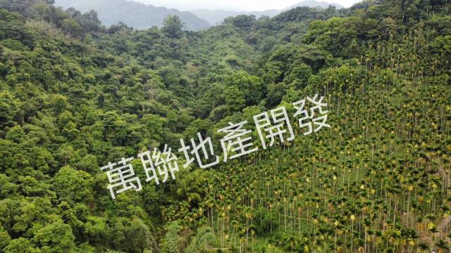 台中山坡地_林地-4