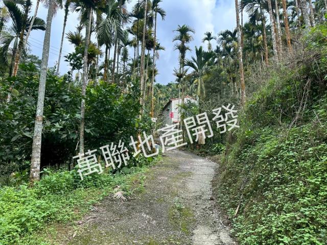 台中山坡地_林地-5
