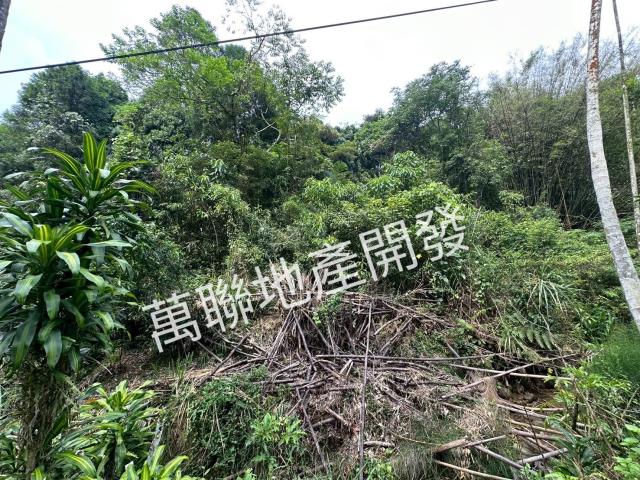 台中山坡地_林地-6