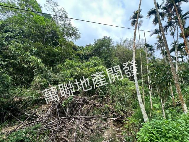 台中山坡地_林地-7
