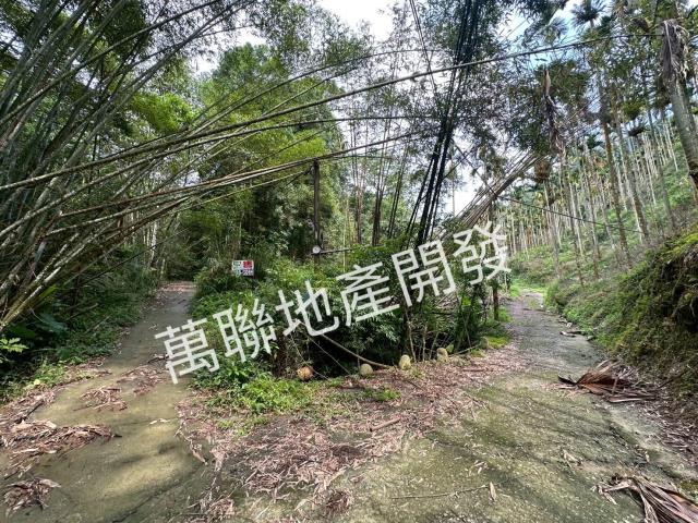 台中山坡地_林地-9