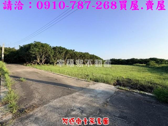 台南農地-11