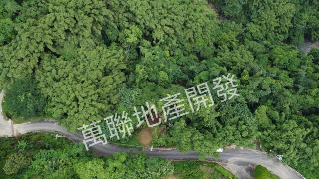 台中山坡地保育區林業-8