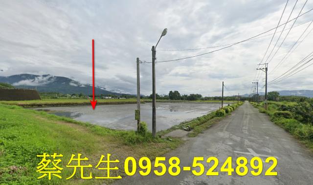 花蓮農地法拍-12