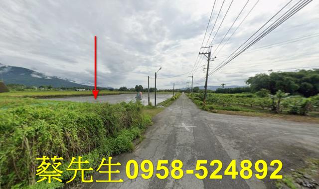 花蓮農地法拍-13
