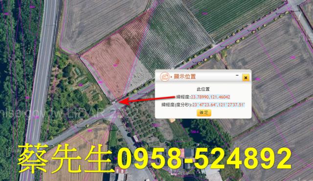 花蓮農地法拍-3