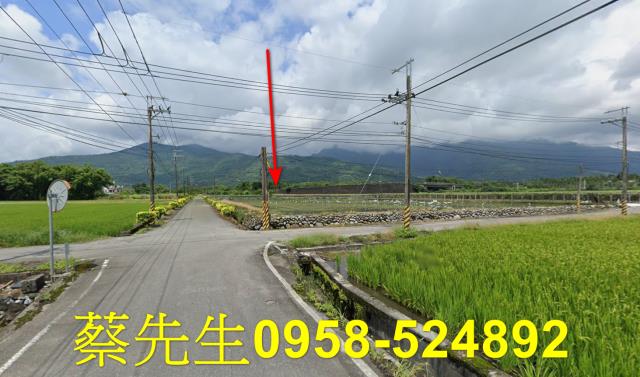 花蓮農地法拍-14