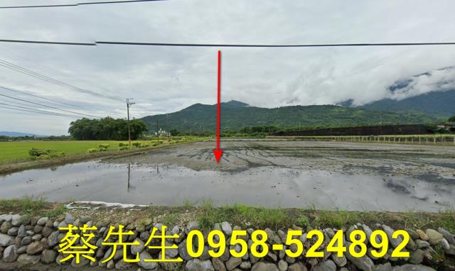 花蓮農地法拍-7