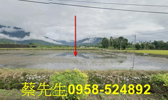 花蓮農地法拍-9